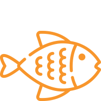 Filetti di pesce - SBAFF